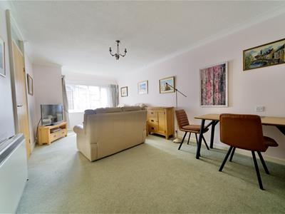 Picture 8